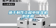 鱼干制作工程中除湿机的使用