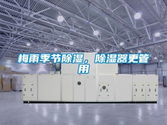 行业新闻梅雨季节除湿，除湿器更管用