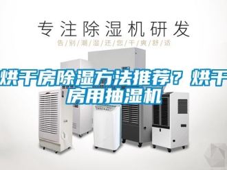 行业新闻烘干房除湿方法推荐？烘干房用抽湿机