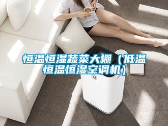 知识百科恒温恒湿蔬菜大棚（低温恒温恒湿空调机）