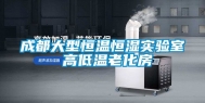 成都大型恒温恒湿实验室 高低温老化房