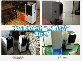 知识百科中国家电企业“品牌提升”进行时