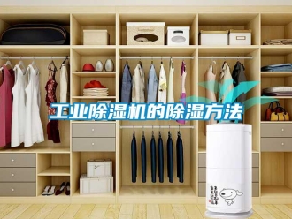 企业新闻工业除湿机的除湿方法