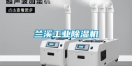 兰溪工业除湿机