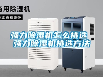 行业新闻强力除湿机怎么挑选 强力除湿机挑选方法