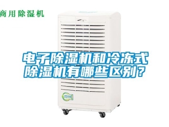 行业新闻电子除湿机和冷冻式除湿机有哪些区别？
