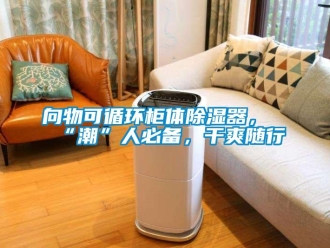 新闻资讯向物可循环柜体除湿器，“潮”人必备，干爽随行