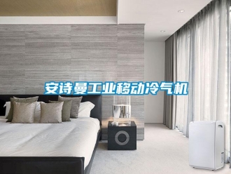 企业新闻安诗曼工业移动冷气机