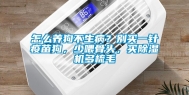 怎么养狗不生病？别买一针疫苗狗，少喂骨头，买除湿机多梳毛