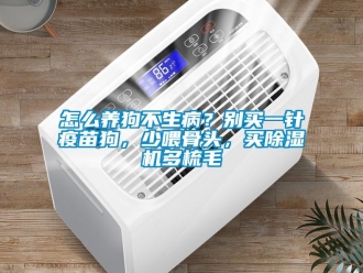 行业新闻怎么养狗不生病？别买一针疫苗狗，少喂骨头，买除湿机多梳毛