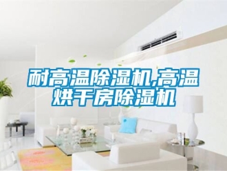 行业新闻耐高温除湿机,高温烘干房除湿机