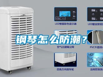 常见问题钢琴怎么防潮？