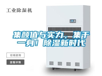 行业新闻集颜值与实力，集于一身！除湿新时代