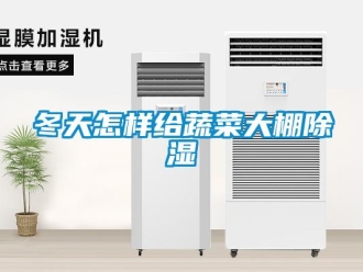 常见问题冬天怎样给蔬菜大棚除湿