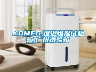 常见问题KOMEG,恒温恒湿试验箱,广州试验箱
