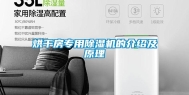 烘干房专用除湿机的介绍及原理