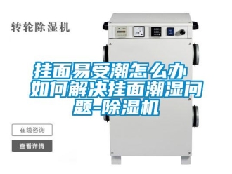行业新闻挂面易受潮怎么办 如何解决挂面潮湿问题-除湿机