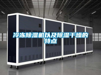 行业新闻冷冻除湿机以及除湿干燥的特点