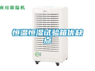 知识百科恒温恒湿试验箱优缺点