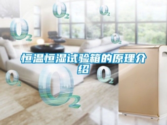 知识百科恒温恒湿试验箱的原理介绍