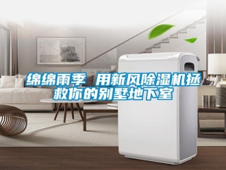 行业新闻绵绵雨季 用新风除湿机拯救你的别墅地下室