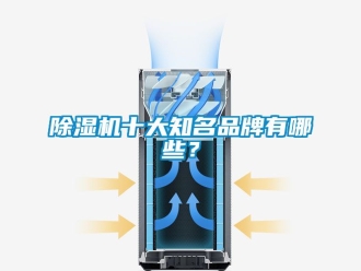 企业新闻除湿机十大知名品牌有哪些？