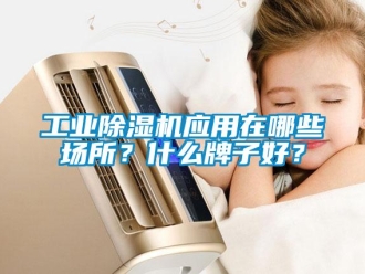 企业新闻工业除湿机应用在哪些场所？什么牌子好？