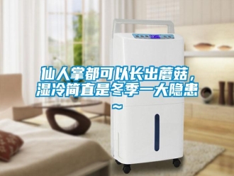 知识百科仙人掌都可以长出蘑菇，湿冷简直是冬季一大隐患~