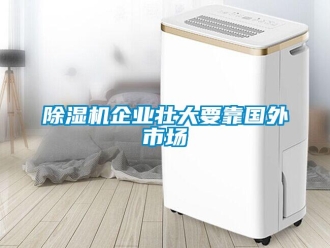 企业新闻除湿机企业壮大要靠国外市场