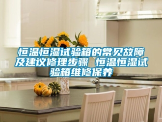 知识百科恒温恒湿试验箱的常见故障及建议修理步骤 恒温恒湿试验箱维修保养