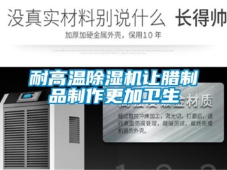行业新闻耐高温除湿机让腊制品制作更加卫生