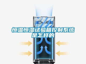 知识百科恒温恒湿试验箱控制系统是怎样的