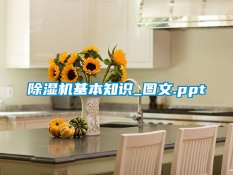 行业新闻除湿机基本知识_图文.ppt