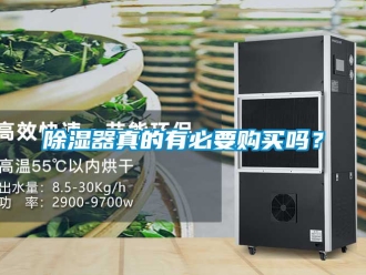 行业新闻除湿器真的有必要购买吗？