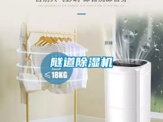 知识百科隧道除湿机