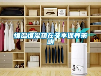 知识百科恒温恒湿箱在冬季保养策略