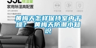 黄梅天怎样保持室内干燥？ 黄梅天防潮小知识