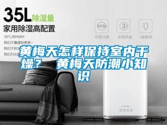 常见问题黄梅天怎样保持室内干燥？ 黄梅天防潮小知识