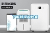 了解除湿的种类