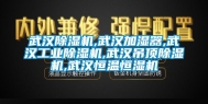 武汉除湿机,武汉加湿器,武汉工业除湿机,武汉吊顶除湿机,武汉恒温恒湿机