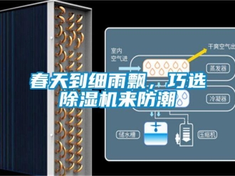 企业新闻春天到细雨飘，巧选除湿机来防潮