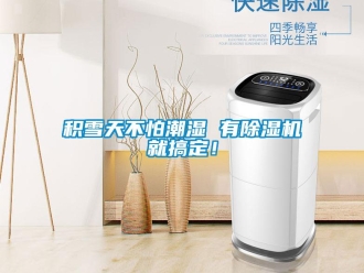 行业新闻积雪天不怕潮湿 有除湿机就搞定！