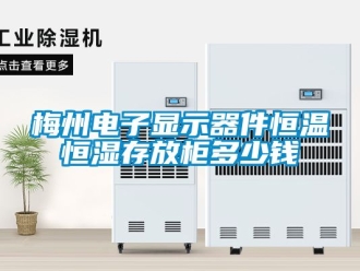 知识百科梅州电子显示器件恒温恒湿存放柜多少钱