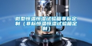 微型恒温恒湿试验箱非标定制（非标恒温恒湿试验箱定制）