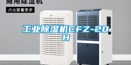 工业除湿机CFZ-20H