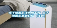 电子除湿机什么牌子好 电子除湿机品牌介绍【详解】