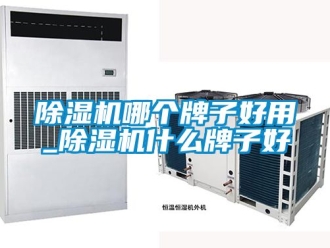 行业新闻除湿机哪个牌子好用_除湿机什么牌子好