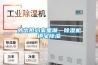 外出担心家里潮，除湿机镇宅除湿