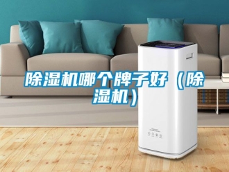 行业新闻除湿机哪个牌子好（除湿机）