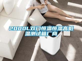 常见问题2000L双门恒温恒湿高低温测试箱厂商